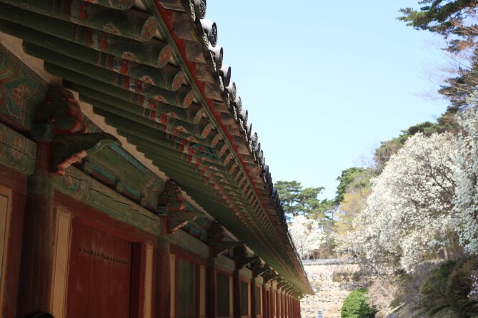 Gyeongju the UNESCO Sites Tour for Small Group - Health and Safety