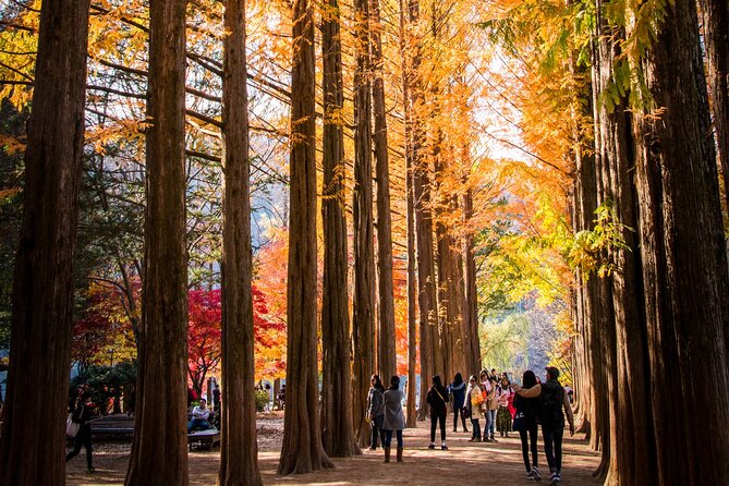 Halal-Nami Island & Central Mosque & Petite France & RailBike - RailBike Adventure Awaits