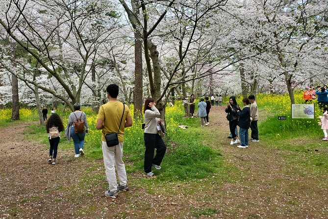 Jeju West Island Bus(Or Taxi )Tour Included Lunch & Entrance Fee - Cancellation and Refund Policy