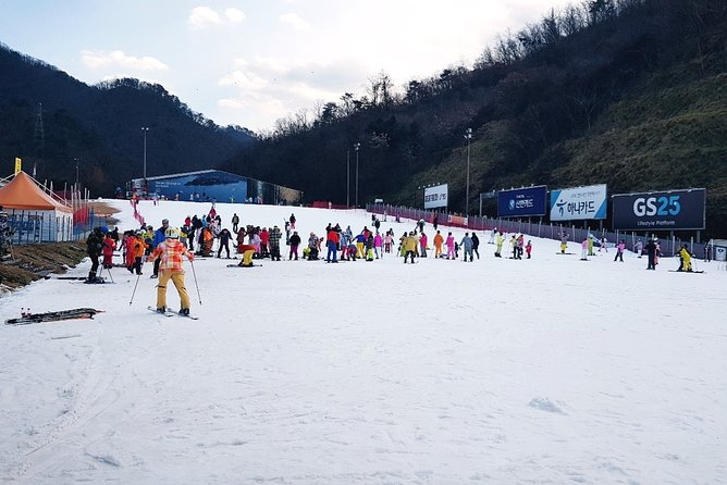 Nami Island + Ski Tour - Important Tour Details