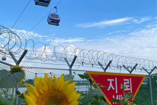 Odusan & Imjingak Gondola, Experience the Reality of Division - Tour Details and Logistics