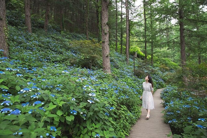 One Day Private Tour-Nami Island, Petite and Garden of Morning Calm(Incl. Lunch) - Logistics and Pickup Details