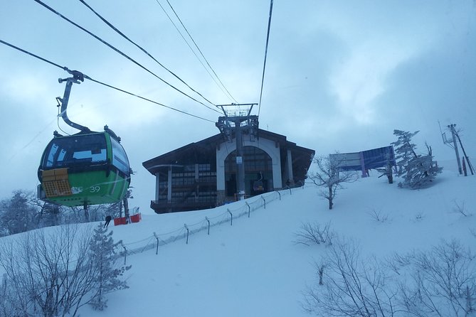 PRIVATE SKI TOUR in Pyeongchang Olympic Ski Resort(More Members Less Cost) - Ski Lesson and Equipment Details