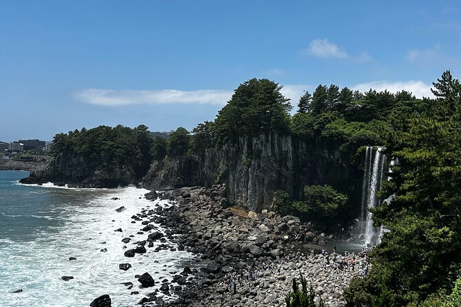 Seogwipo(The Southern City of Jeju) Art Museum Walking Tour - Seogwipo Art Museum Experience