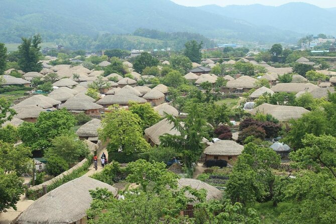 Suncheon 1-Day Tour for Main Attractions - What to Expect on Your Tour