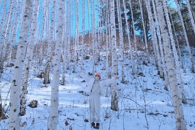 Wondae-ri Birch Forest and Inje Maebawi Ice Wall Full-Day Tour - What to Expect