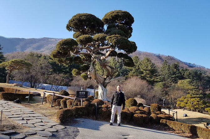 2 Day Essential Tour-Nami, Morning Calm Garden & Mt. Seoraksan - Morning Calm Gardens Serenity