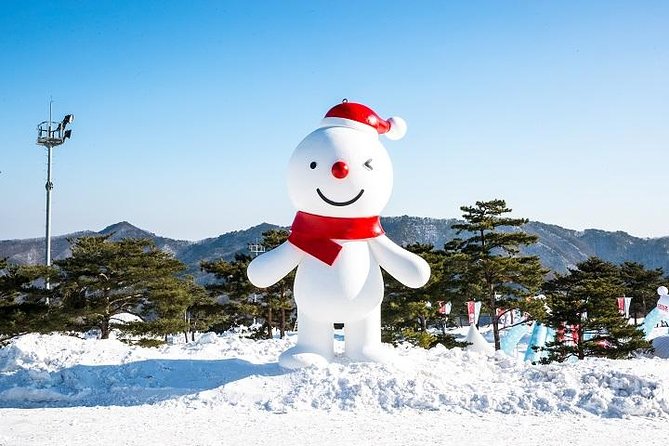 Daemyung Vivaldi Park Resort 2D 1N + Hwacheon Ice-Fishing Festival - Cancellation and Refund Policy