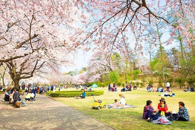 Family Day In Seoul With A Local: Private & Personalized - Accessibility and Special Needs