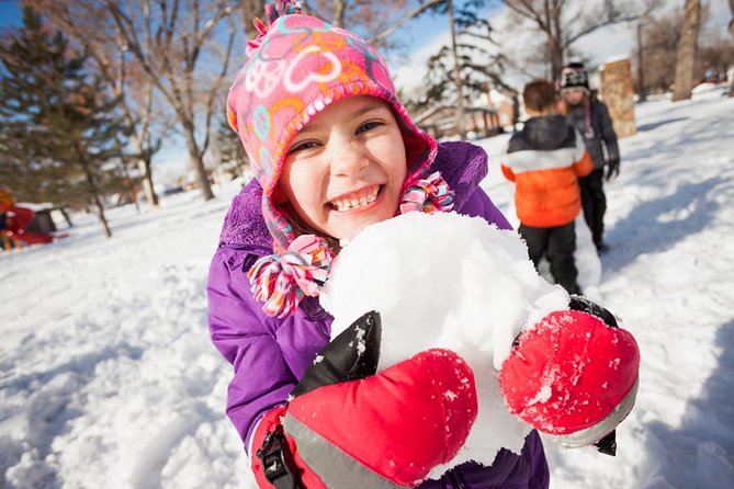 From Seoul: Winter Nami Island Guided Tour With Snow Sliding - Pricing and Cancellation Policy