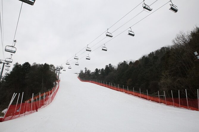 Full Day Private Tour Nami Island & Gangchon Elysian Ski - Important Reminders and Warnings