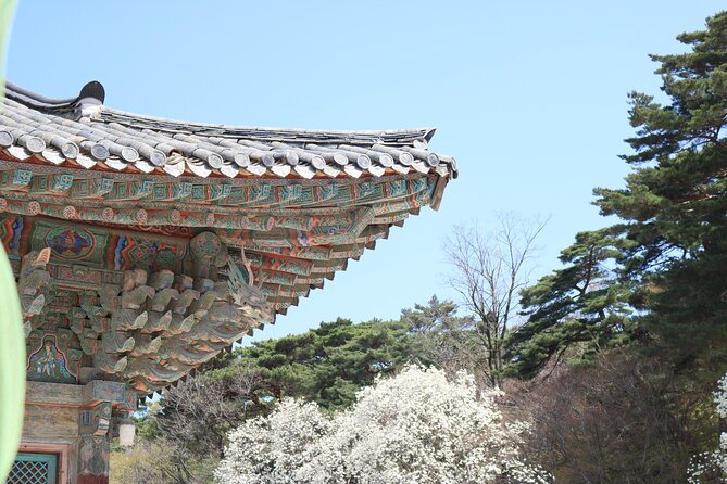 Gyeongju the UNESCO Sites Tour for Small Group - Cancellation and Refund