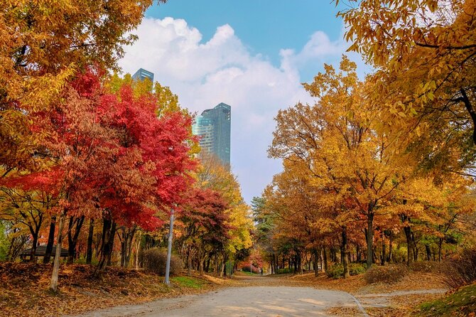 Instagrammable Autumn Foliage Tour From Seoul - Accessibility and Safety Features