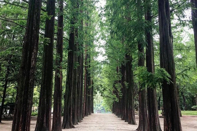 Nami Island & Nearby Attractions : Charter Van Tour With Driver - Nearby Attractions to Explore