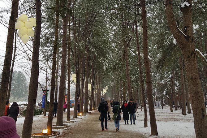 Nami Island + Ski Tour - Preparing for Your Adventure