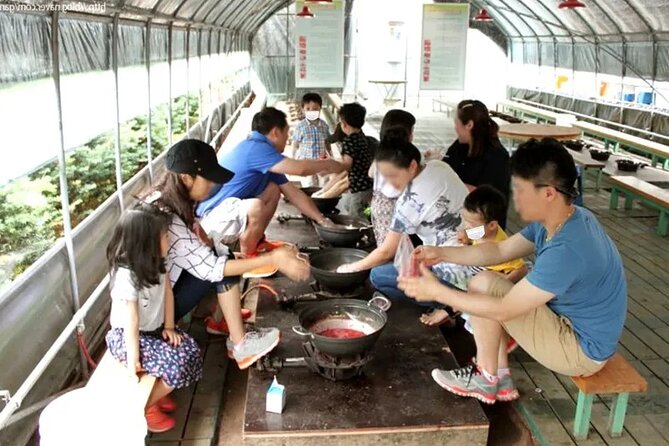 Nami Island & Strawberry Picking and Jam Making & Railbike - Railbike Thrill