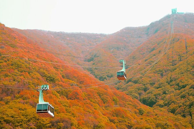 Panoramic Yeongnam Alps Gondola Autumn Foliage Tour From Busan - Cancellation and Refund Policy