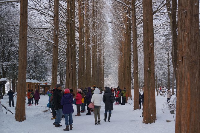 [Perfect Private Tour] Strawberry Farm & Nami Island & Lunch - Savoring Traditional Korean Cuisine