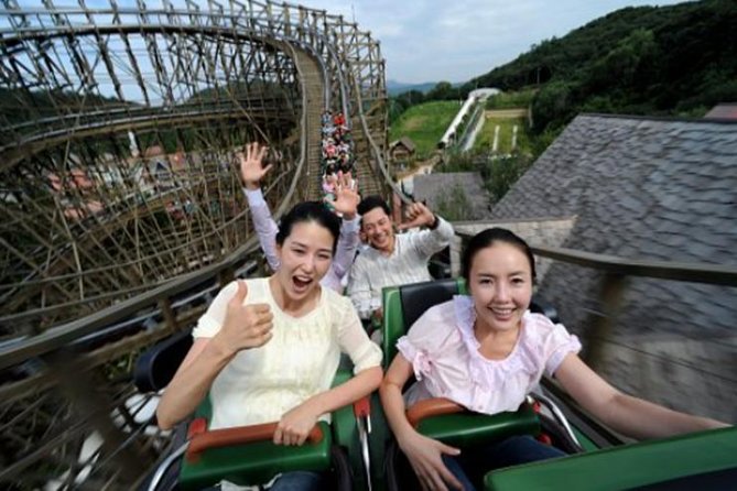 Private Everland Theme Park Tour - Itinerary and Schedule Details