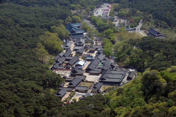 Private Tongdosa Temple Tour Including Gourmet Eonyang Style Bulgogi Lunch - Expert Guidance With Licensed Guides