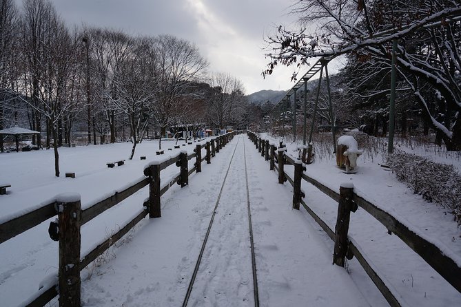 Private Tour Rail Bike & Nami Island & (Petite France or Garden of Morning Calm) - Important Cancellation Policies