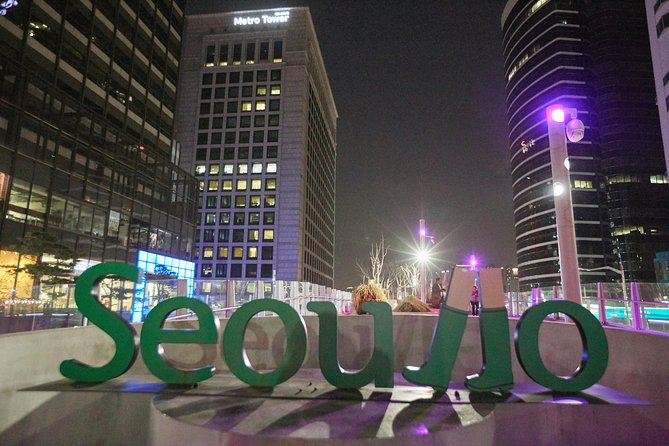 Seoul Night Tour: Sevit Some, Fountain, and Palace - What to Expect on Tour