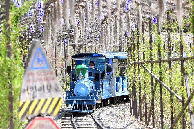 Seoul to Nami Island Round Trip Shuttle Bus Service - Important Travel Information