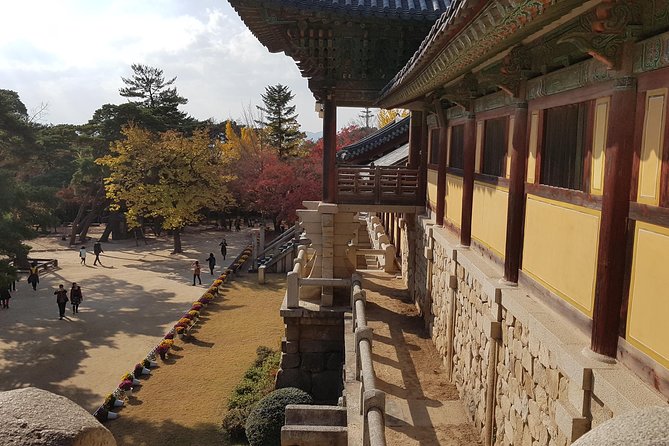 1DAY Gyeongju City Tour From BUSAN - UNESCO World Heritage Site - Cancellation and Refund Policy