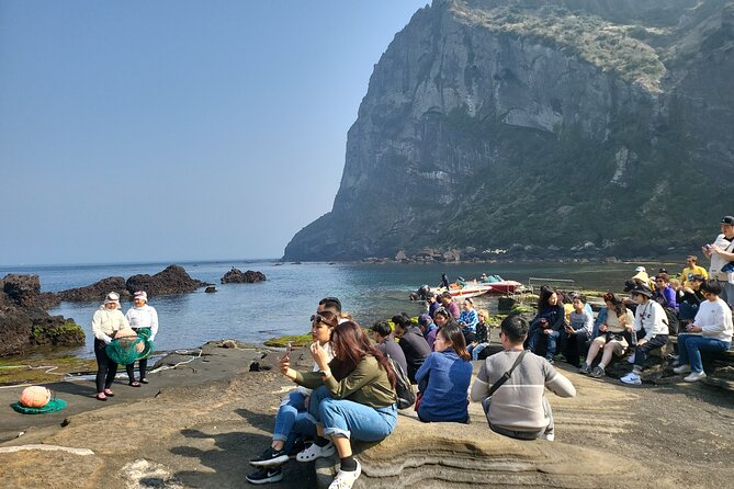 Half or Day Tour for Cruise Customers Arriving at Gangjeong Port - Booking and Pricing Details