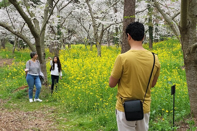 Jeju West Island Bus(Or Taxi )Tour Included Lunch & Entrance Fee - Tour Pricing and Discounts