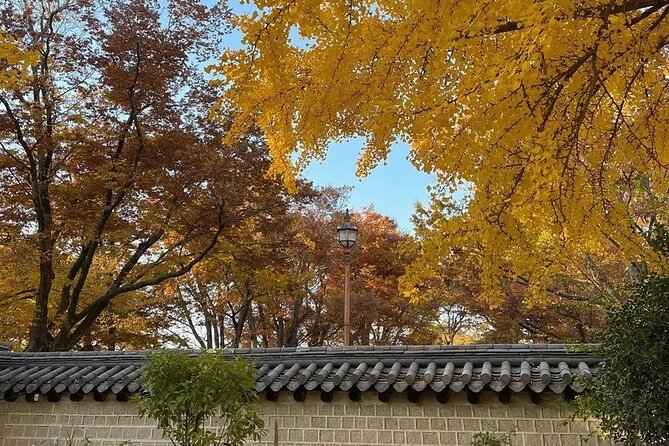 Jeonju Hanok Village and Jangtaesan Nature Tour - Important Tour Details and Notes