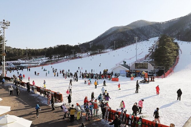 Jisan Forest Ski Resort One Day Tour With Basic Lesson - Cancellation and Refund Policy