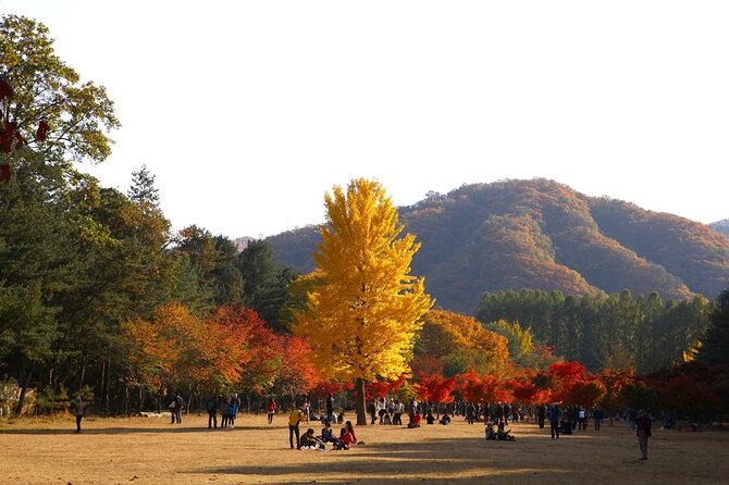 Nami & Happy Chowon Panorama Field & Railbike & Morning Calm - Meeting and Pickup Information