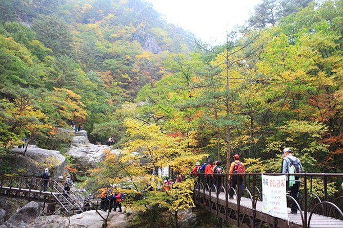 Odaesan National Park Hiking Day Tour: Explore Autumn Foliage Korea - Reviews and Ratings Overview