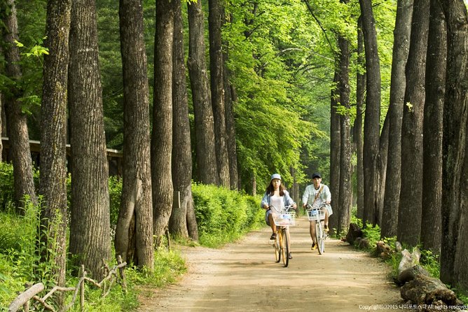 One Day Private Tour-Nami Island, Petite and Garden of Morning Calm(Incl. Lunch) - Cancellation and Refund