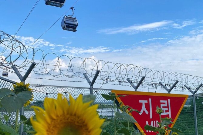 [Private] DMZ & Imjingak Peace Gondola Experience Inter-Korean War - Reviews and Testimonials