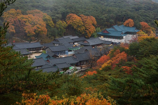 Private Tongdosa Temple Tour Including Gourmet Eonyang Style Bulgogi Lunch - Accessibility and Special Requests