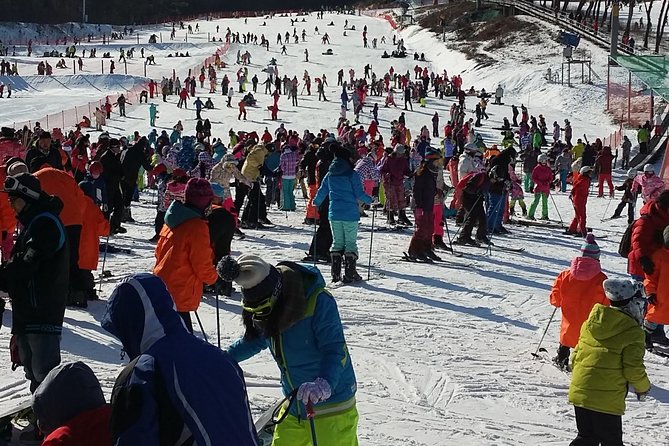 Private Trip to Nami Island and Ski Resort - Cancellation and Refund