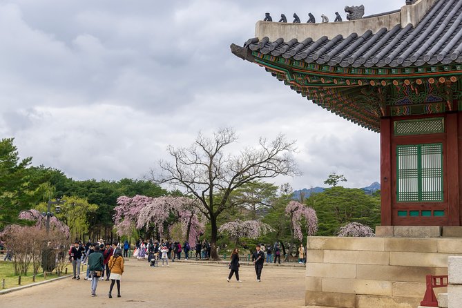 Seoul City Tour - Free Photo Service - Customized Private Tour Benefits