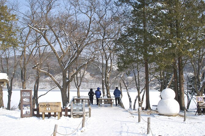 Strawberry & Eobi Valley Tour With Nami Island or Sled Option - Reviews and Ratings Overview