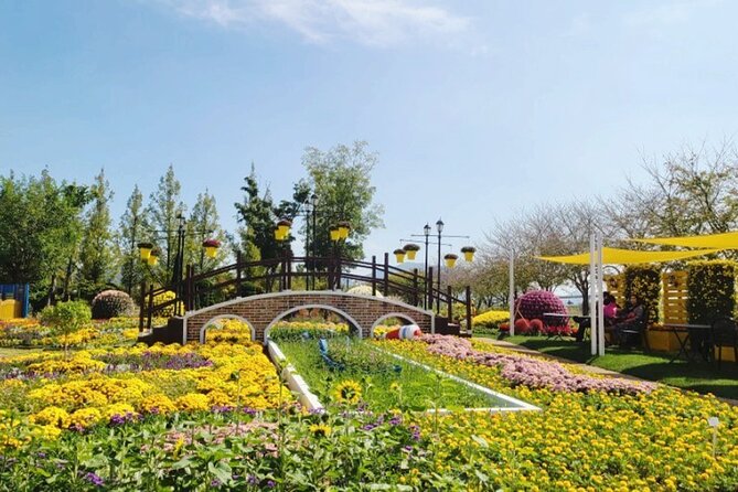 Suncheon 1-Day Tour for Main Attractions - Meeting Points and Logistics