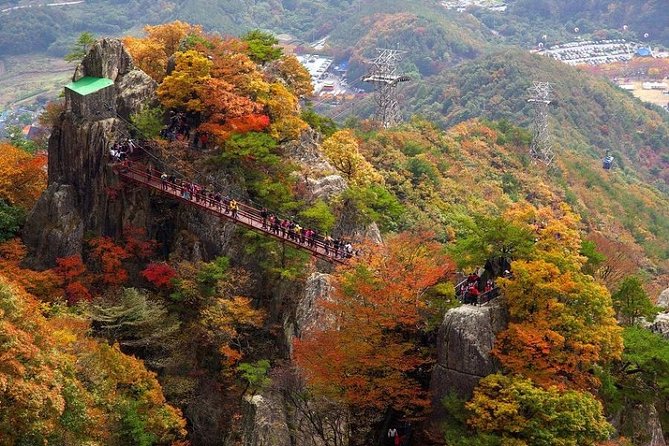 The Beauty of the Korea Fall Foliage Discover 11days 10nights - Private Tour Details and Notes