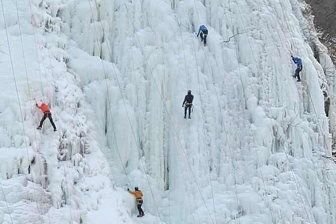 Wondae-ri Birch Forest and Inje Maebawi Ice Wall Full-Day Tour - Cancellation and Refund Policy