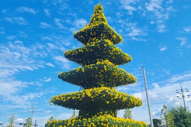 Yeoncheon Chrysanthemum Festival - Pyeongtaek Departure - Important Tour Reminders