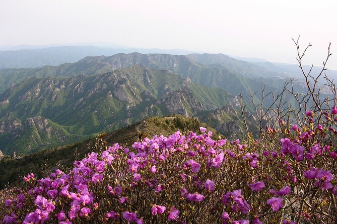 2 Days Private Tour : Mt Seorak & Naksansa Temple & Nami Island From Seoul - Tour Requirements and Limits