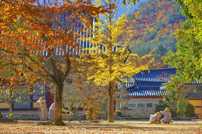 Full-Day Autumn Tour to Unmunsa Bhikkhuni Temple - Meeting and Ending Points