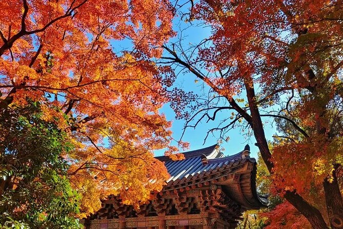 Gyeongju Full-Day Guided Tour From Seoul - Getting to the Meeting Point