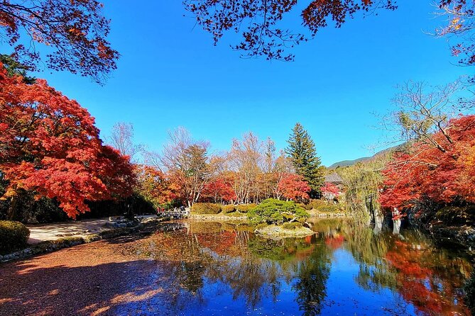 Gyeongju Maple Tour From Busan - Traveling From Busan to Gyeongju