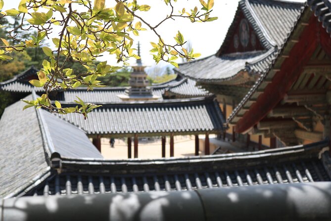 Gyeongju Temple Stay and 2 Days Private Tour Learning Monks Martial Arts - Tour Logistics and Transportation