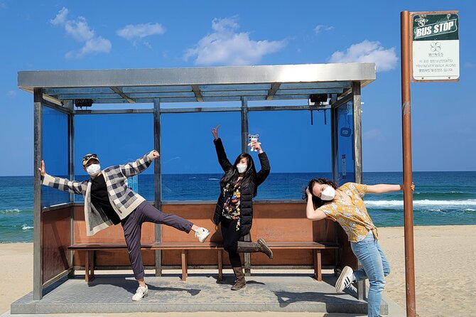 Half-Day Self-Guided Tour of Gangneung With Driver - Tour Schedule and Timing